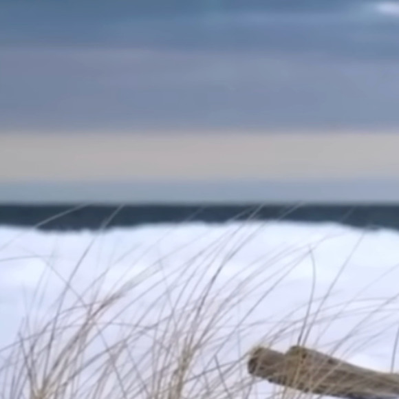 snowy_beach